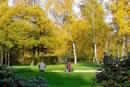 Klick